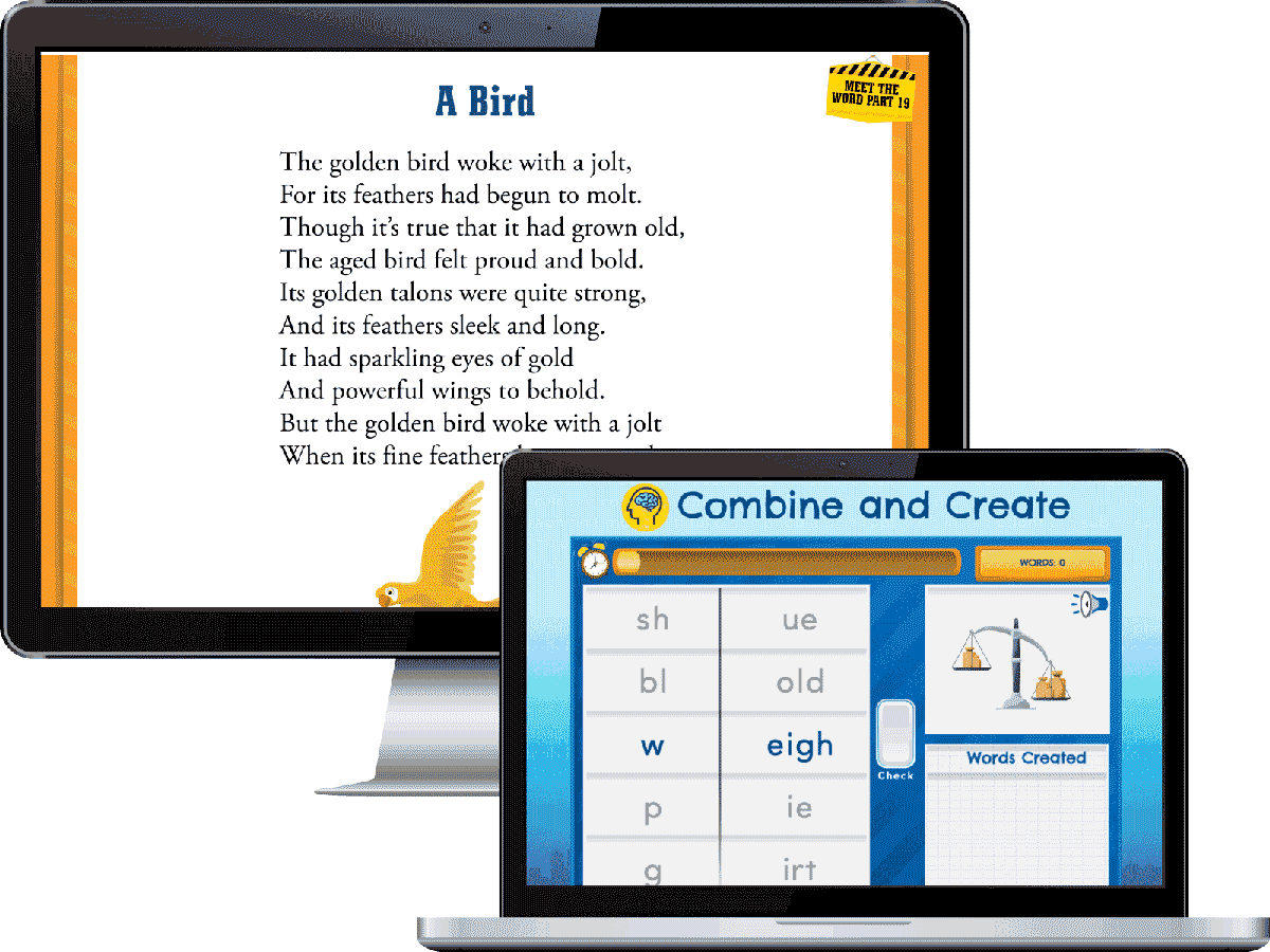 Building Vocabulary 2nd Edition: Level 2 Kit